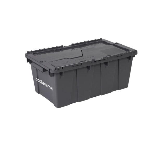 Caja estandar cerrada gris packen