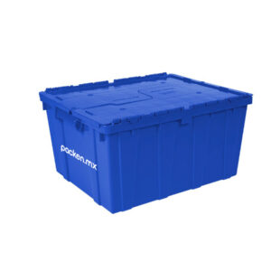 Caja jumbo cerrada azul Packen